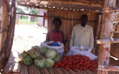 MARKET STALL BUSINESS ASSISTED